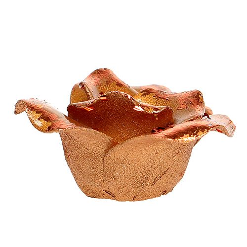 Floristik24 Mini rozen koper 4cm 8st