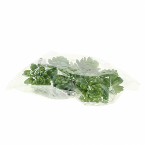 Floristik24 Mini - sappig 6.5cm 6st