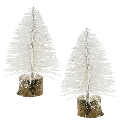 Floristik24 Mini kerstboom wit glitter 6st