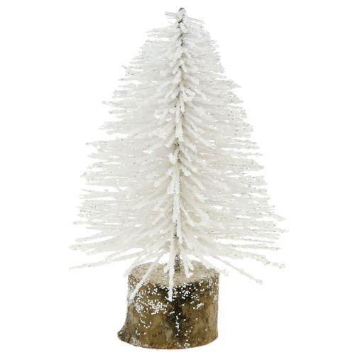 Floristik24 Mini kerstboom wit glitter 6st