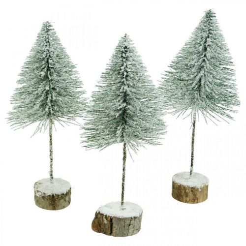 Floristik24 Decoratieve dennenbomen, winterdecoraties, kerstboom, advent H30 / 32cm Ø13,5cm set van 3