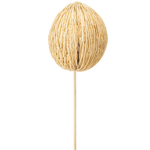 Artikel Mintolla bal gebleekt 8cm - 10cm L46cm 6 st