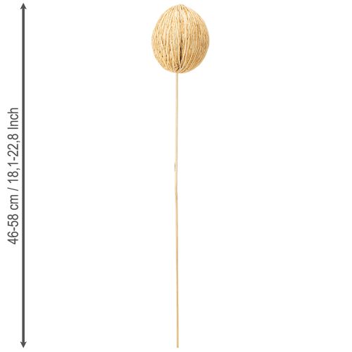 Artikel Mintolla bal gebleekt 8cm - 10cm L46cm 6 st