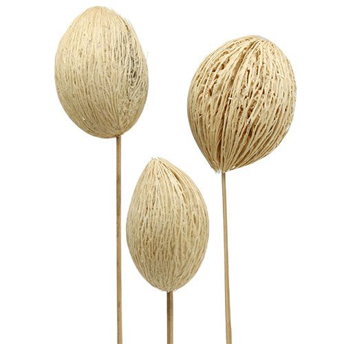 Artikel Mintolla bal gebleekt 8cm - 10cm L46cm 6 st