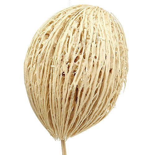 Artikel Mintolla bal gebleekt 8cm - 10cm L46cm 6 st