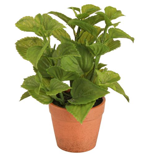 Artikel Munt in Pot Kunstkruiden Kunstplanten 18cm 2st