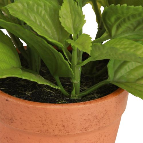Artikel Munt in Pot Kunstkruiden Kunstplanten 18cm 2st