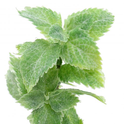 Artikel Mint kunstgroen 25cm 12 st