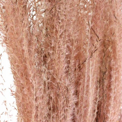 Artikel Droog gras lang roze veergras decoratief Miscanthus 75cm 10 st