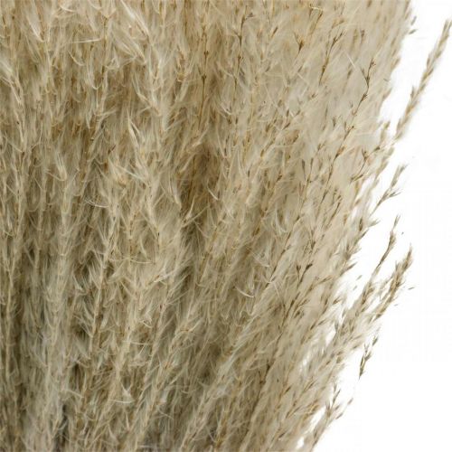 Artikel Drooggras Miscanthus 55-75cm veergras naturel 100 st