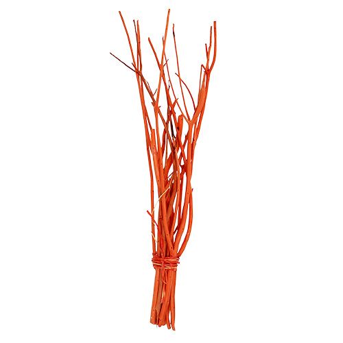 Floristik24 Mitsumata takken oranje 34-60cm 12st