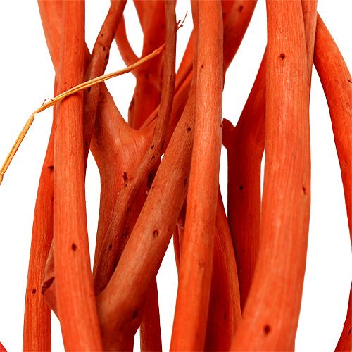 Floristik24 Mitsumata takken oranje 34-60cm 12st