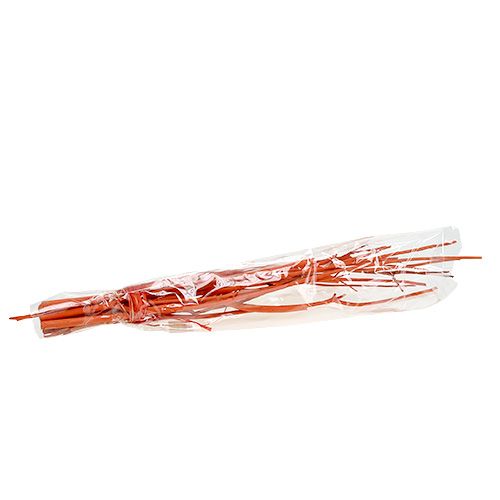 Floristik24 Mitsumata takken oranje 34-60cm 12st