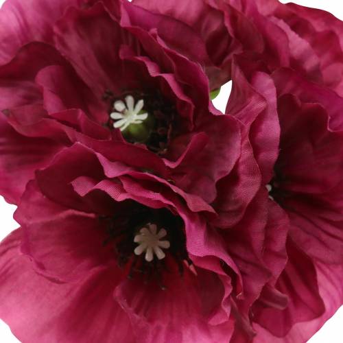 Floristik24 Klaproos paars 29cm 6st