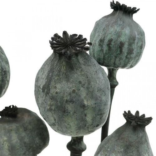 Artikel Klaprooscapsules zwart gekleurde droogbloemisterij klaproos decoratie 50-60cm 5 st