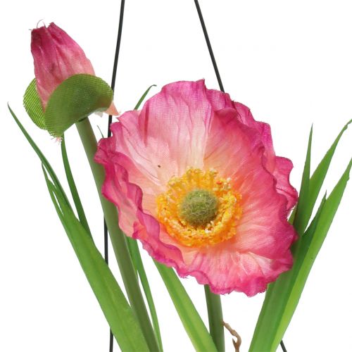 Floristik24 Papaver in een glas om op te hangen Roze H22cm