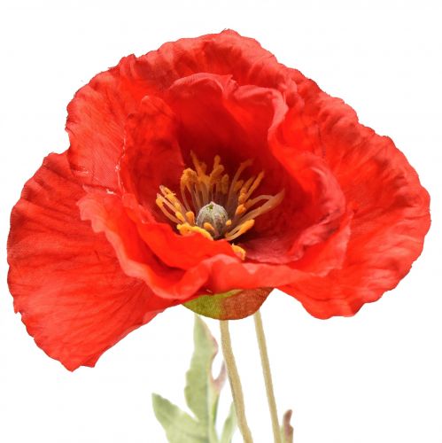 Artikel Poppy decoratieve tuinbloem met 3 bloemen rood L70cm