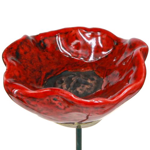 Floristik24 Klaproos keramiek sierbloemplug klaproos rood 5cm 8 st