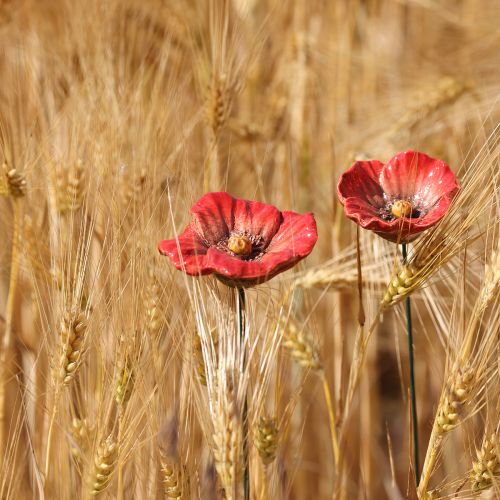 Artikel Keramische klaproos, romantische decoratie voor lentetuinen en bloemperken, 31 cm, 6 stuks