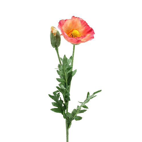 Floristik24 Kunstpapaver roze, geel 74cm