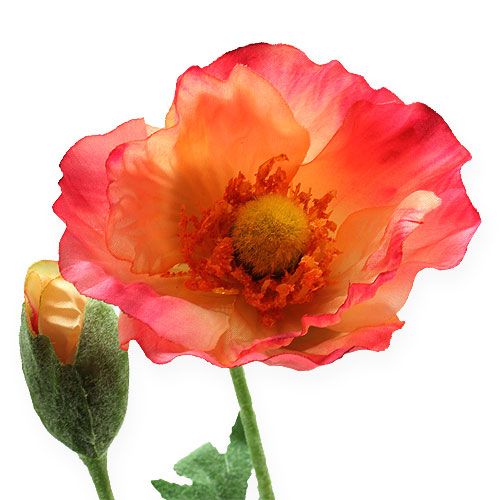 Floristik24 Kunstpapaver roze, geel 74cm