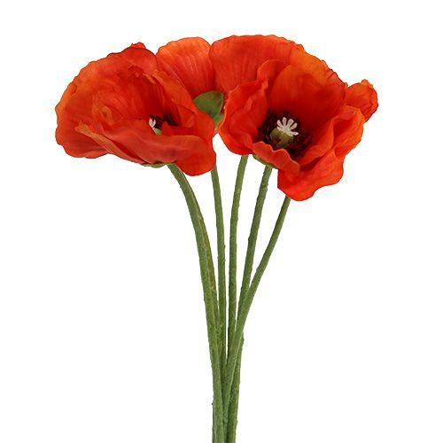 Floristik24 Papaver boeket L28cm