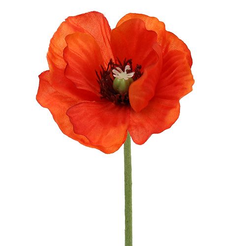 Floristik24 Papaver boeket L28cm