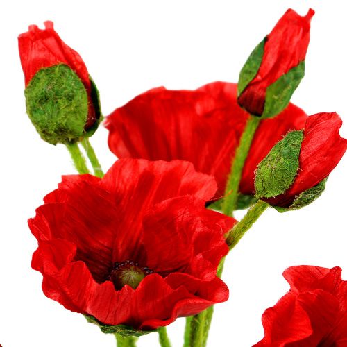 Floristik24 Papavers rood Ø7cm L48cm 4st