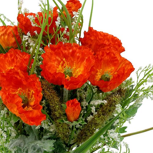 Floristik24 Papaver boeket oranje 40cm