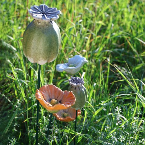 Artikel Decoratieve stokken met klaprooszaadpeulen voor een stijlvolle seizoensgebonden tuin of een blikvanger op het balkon, 41 cm, 4 stuks