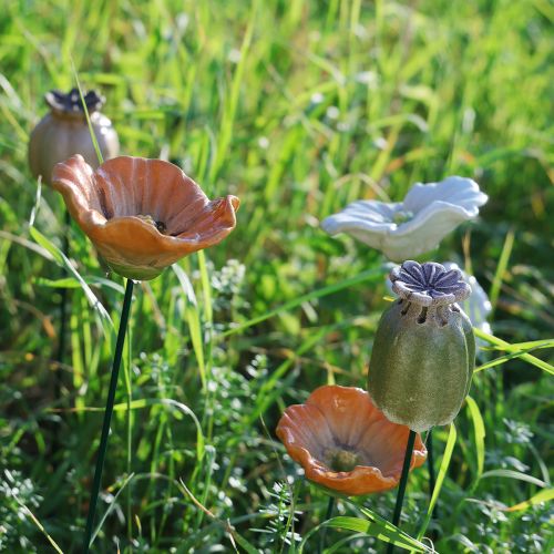 Artikel Decoratieve stokken met klaprooszaadpeulen voor een stijlvolle seizoensgebonden tuin of een blikvanger op het balkon, 41 cm, 4 stuks