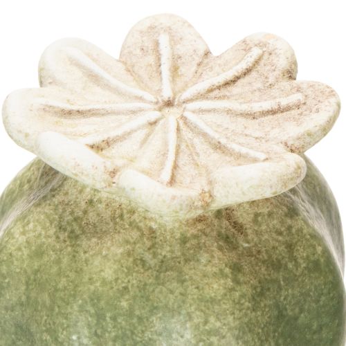 Artikel Tuindecoratie met klaprooszaadpeulen als stokjes voor een charmante tuin, 60 cm, 2 stuks