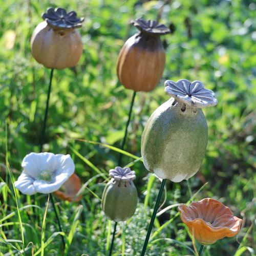 Artikel Tuindecoratie met klaprooszaadpeulen als stokjes voor een charmante tuin, 60 cm, 2 stuks