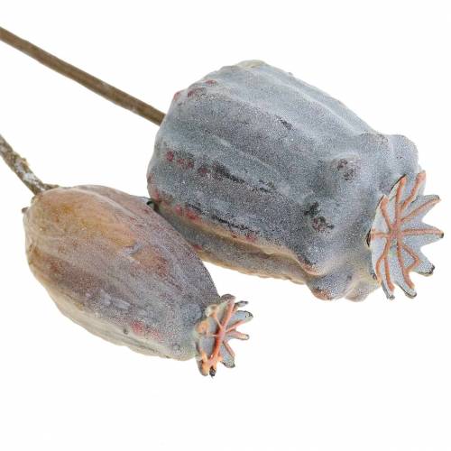 Floristik24 Kunstmatige papaver capsules geel, bruin 6st