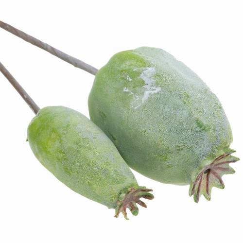 Floristik24 Kunst klaproos capsules groen 26cm/28cm 6st