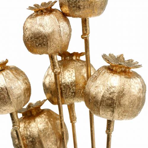 Floristik24 Maanzaad capsule op stok goud 59cm 6st