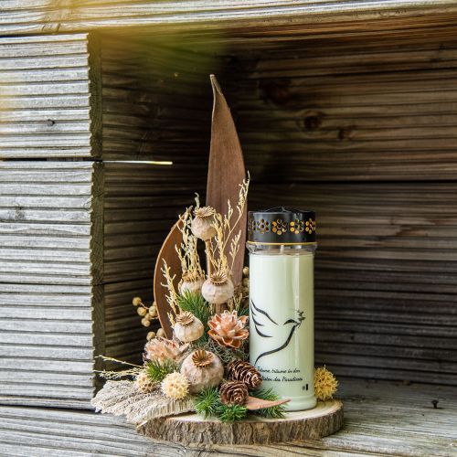 Floristik24 Klaproos capsule grote droogbloemen geel Papaver decoratieve klaprozen 5 st