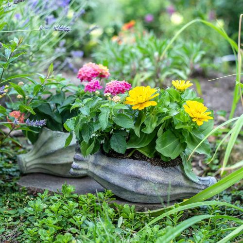 Floristik24 Papavercapsule voor opplant, betondecoratie, plantenpot, tuindecoratie L29.5cm