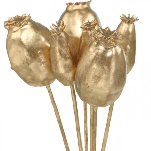 Floristik24 Klaproos capsules decoratie klaproos kunstgoud kerstversiering 38cm 6st