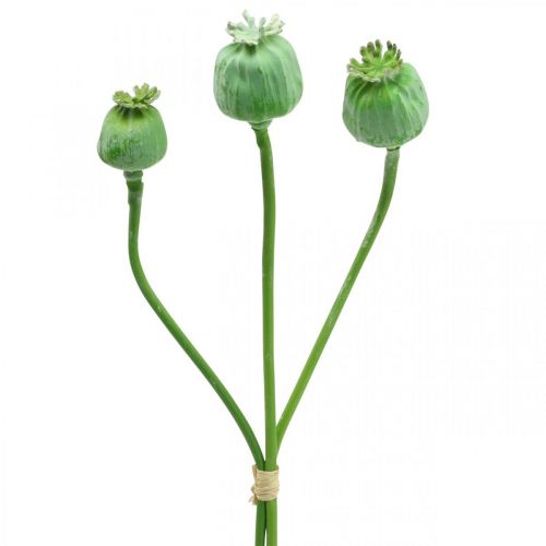 Floristik24 Maanzaad capsules decoratie kunst maanzaad op stokje groen 58cm 3st in bos