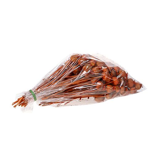Floristik24 Klaprozen gekleurd oranje 100 st