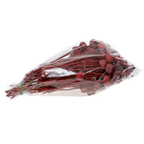 Floristik24 Klaprozen gekleurd rood 100 st