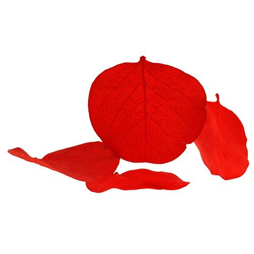 Moneta bladeren rood 50g Moneta bladeren rood 50g