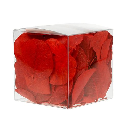 Moneta bladeren rood 50g