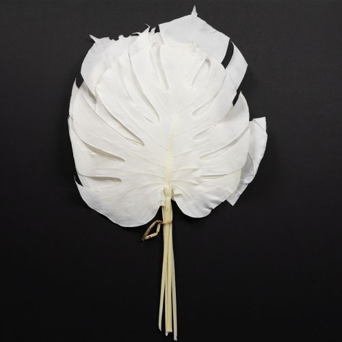 Floristik24 Monstera bladeren gebleekt decoratief raamblad H40cm 5 stuks