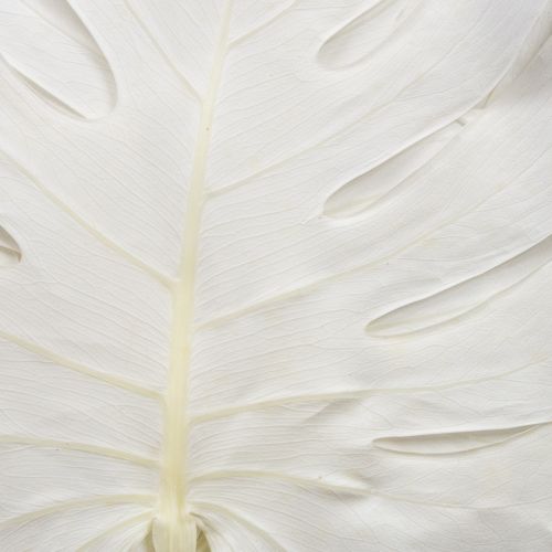 Artikel Monstera bladeren gebleekt decoratief raamblad H40cm 5 stuks