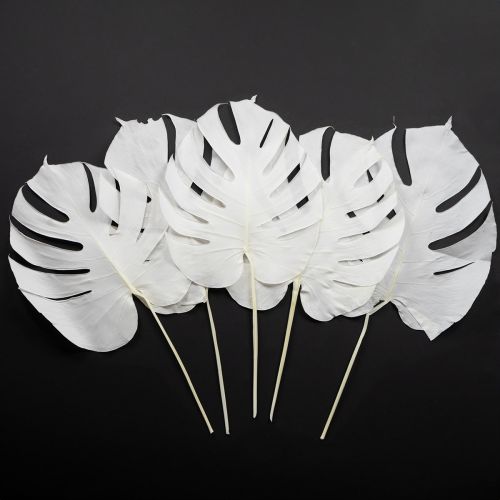 Artikel Monstera bladeren gebleekt decoratief raamblad H40cm 5 stuks