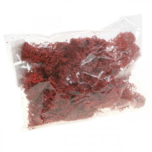 Artikel Decoratief mos voor handwerk Rood gekleurd natuurlijk mos in een zak van 40 g