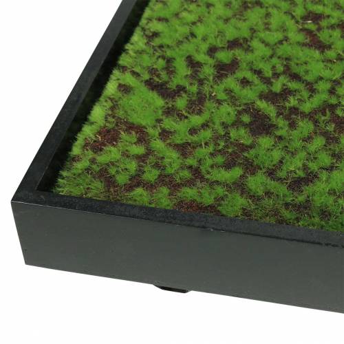 Artikel Muurschildering mos in een groene lijst 60x30cm Wanddecoratie gemaakt van mos