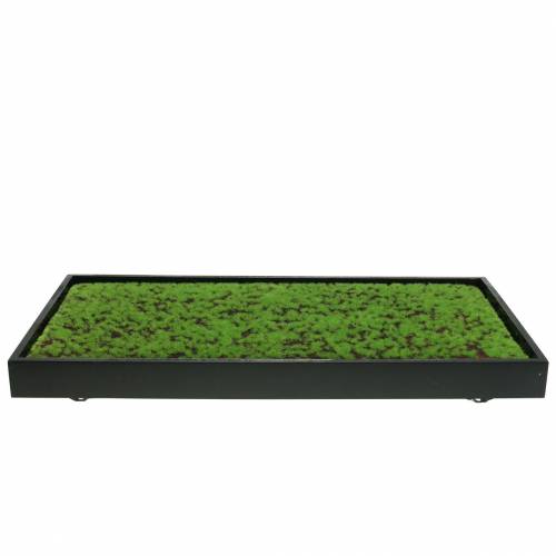 Artikel Muurschildering mos in een groene lijst 60x30cm Wanddecoratie gemaakt van mos